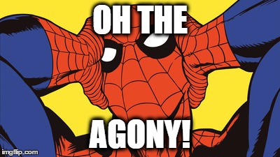 spiderman smacks head | OH THE AGONY! | image tagged in spiderman smacks head | made w/ Imgflip meme maker