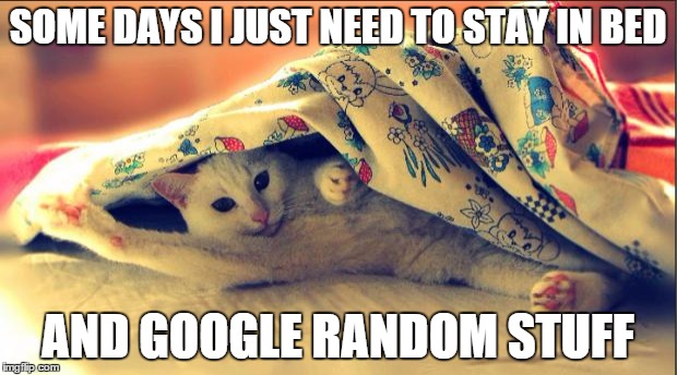 cat in bed  | SOME DAYS I JUST NEED TO STAY IN BED; AND GOOGLE RANDOM STUFF | image tagged in cat in bed | made w/ Imgflip meme maker