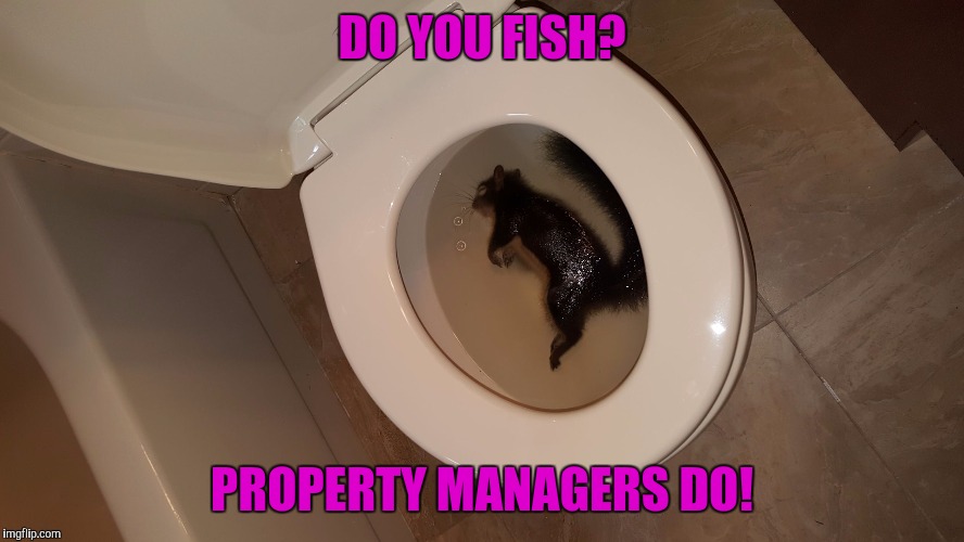 DO YOU FISH? PROPERTY MANAGERS DO! | image tagged in squirrel,fishing | made w/ Imgflip meme maker