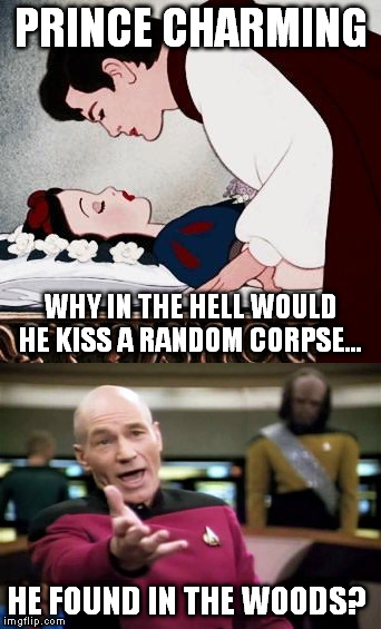 Prince Charming wasn't too smart | PRINCE CHARMING; WHY IN THE HELL WOULD HE KISS A RANDOM CORPSE... HE FOUND IN THE WOODS? | image tagged in picard wtf | made w/ Imgflip meme maker
