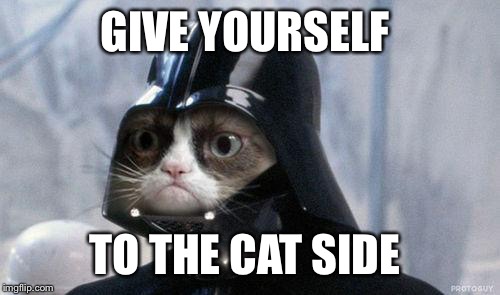 Grumpy Cat Star Wars Meme | GIVE YOURSELF; TO THE CAT SIDE | image tagged in memes,grumpy cat star wars,grumpy cat | made w/ Imgflip meme maker