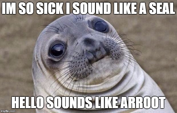 Awkward Moment Sealion Meme | IM SO SICK I SOUND LIKE A SEAL; HELLO SOUNDS LIKE ARROOT | image tagged in memes,awkward moment sealion | made w/ Imgflip meme maker