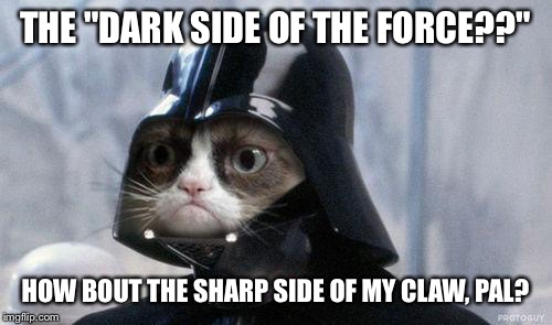 Grumpy Cat Star Wars | THE "DARK SIDE OF THE FORCE??"; HOW BOUT THE SHARP SIDE OF MY CLAW, PAL? | image tagged in grumpy cat vader | made w/ Imgflip meme maker