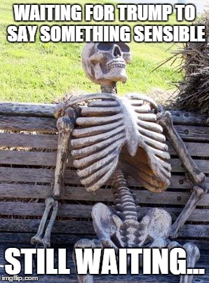 Fact! | WAITING FOR TRUMP TO SAY SOMETHING SENSIBLE; STILL WAITING... | image tagged in memes,waiting skeleton | made w/ Imgflip meme maker