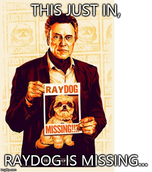 Where did he go this time? | THIS JUST IN, RAYDOG IS MISSING... | image tagged in raydog missing | made w/ Imgflip meme maker