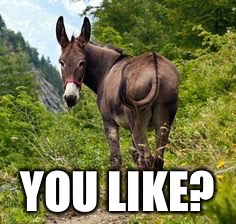 Dat ass | YOU LIKE? | image tagged in dat ass | made w/ Imgflip meme maker