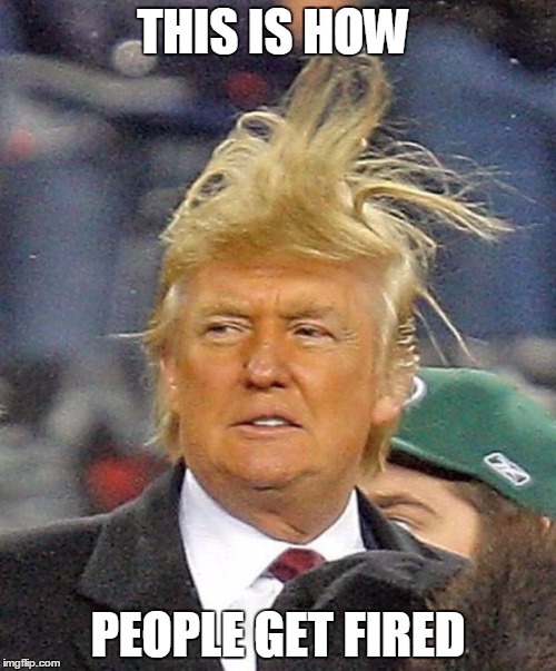 Donald Trumph hair | THIS IS HOW; PEOPLE GET FIRED | image tagged in donald trumph hair | made w/ Imgflip meme maker