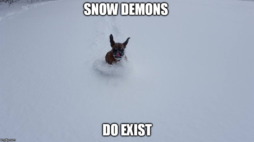 SNOW DEMONS; DO EXIST | image tagged in snow demon dog | made w/ Imgflip meme maker