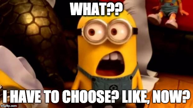 minions dafuq | WHAT?? I HAVE TO CHOOSE? LIKE, NOW? | image tagged in minions dafuq | made w/ Imgflip meme maker