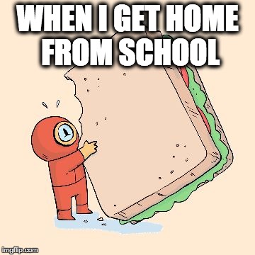 WHEN I GET HOME FROM SCHOOL | image tagged in home | made w/ Imgflip meme maker