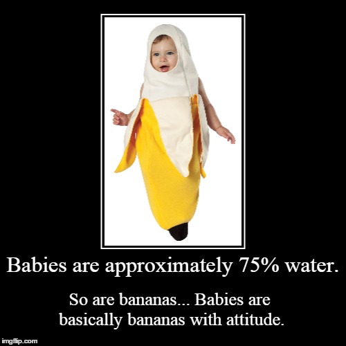 And now you know. | image tagged in funny,demotivationals | made w/ Imgflip demotivational maker