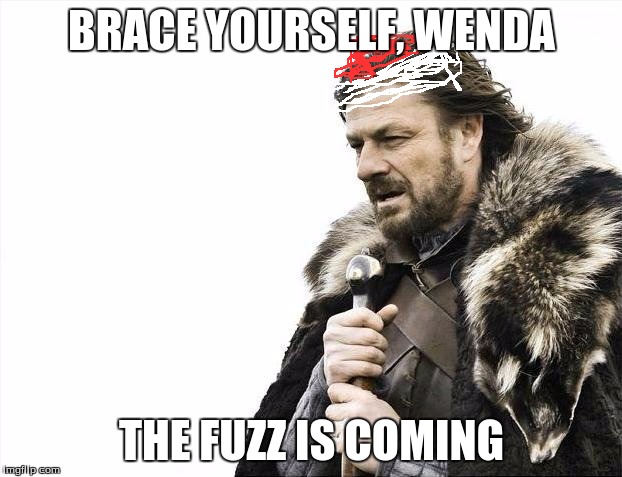 Brace Yourselves X is Coming Meme | BRACE YOURSELF, WENDA THE FUZZ IS COMING | image tagged in memes,brace yourselves x is coming | made w/ Imgflip meme maker