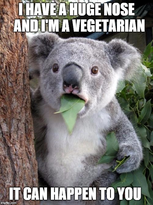 vegetation nostrilitis | I HAVE A HUGE NOSE; AND I'M A VEGETARIAN; IT CAN HAPPEN TO YOU | image tagged in memes,surprised koala,funny memes,vegetarian | made w/ Imgflip meme maker