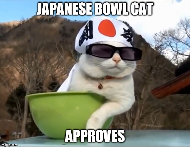 JAPANESE BOWL CAT APPROVES | made w/ Imgflip meme maker