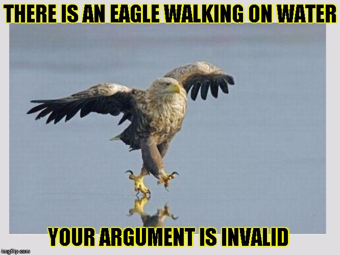 Jesus Eagle | THERE IS AN EAGLE WALKING ON WATER; YOUR ARGUMENT IS INVALID | image tagged in jesus eagle,funny,memes,eagle,water,america | made w/ Imgflip meme maker