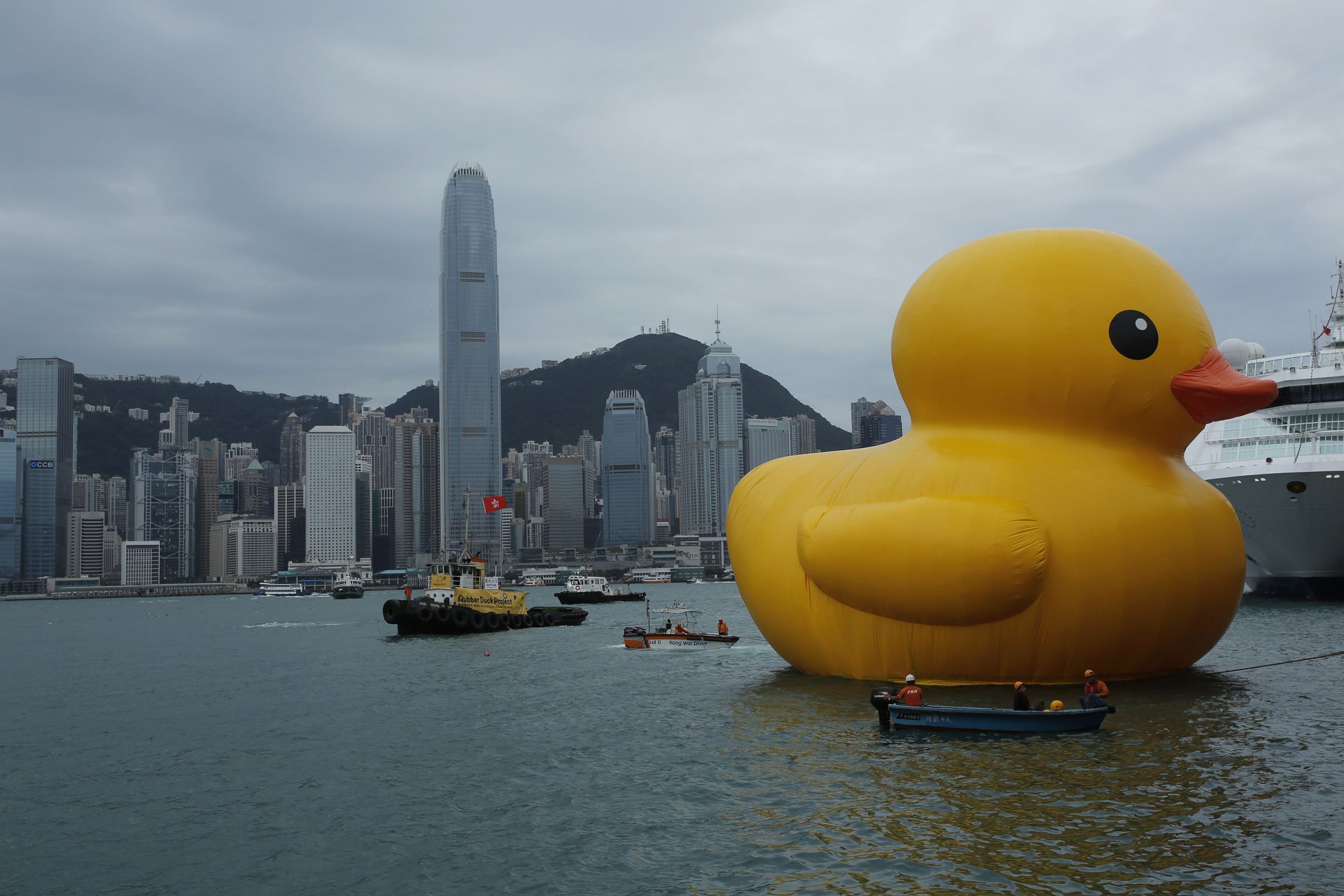 High Quality giant rubber duck hong kong Blank Meme Template