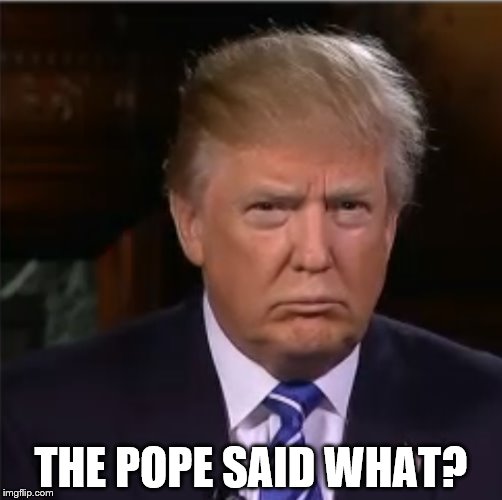 Pope Francis? You mean Francis One? | THE POPE SAID WHAT? | image tagged in donald trump sulk,memes,pope,pope francis,trump,politics | made w/ Imgflip meme maker
