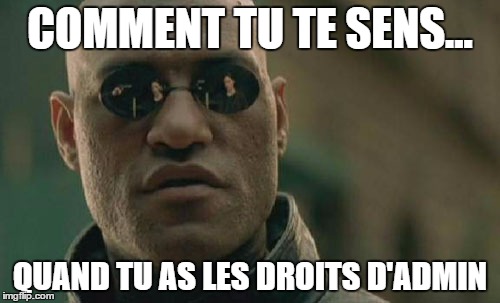 Matrix Morpheus Meme | COMMENT TU TE SENS... QUAND TU AS LES DROITS D'ADMIN | image tagged in memes,matrix morpheus | made w/ Imgflip meme maker