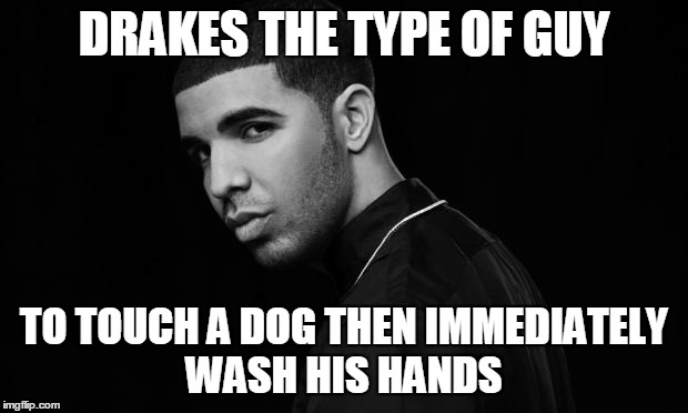 Drake | DRAKES THE TYPE OF GUY; TO TOUCH A DOG THEN IMMEDIATELY WASH HIS HANDS | image tagged in drake | made w/ Imgflip meme maker