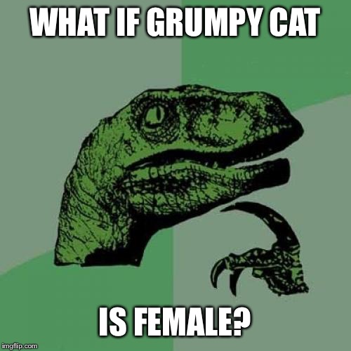 Makes more sense | WHAT IF GRUMPY CAT; IS FEMALE? | image tagged in memes,philosoraptor,grumpy cat,lol,women | made w/ Imgflip meme maker