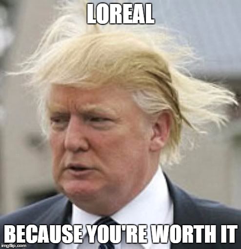 donald trump hair | LOREAL; BECAUSE YOU'RE WORTH IT | image tagged in donald trump 1 | made w/ Imgflip meme maker