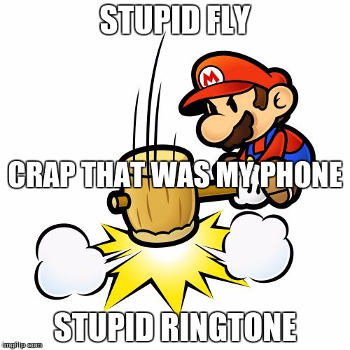 Mario Hammer Smash Meme | STUPID FLY; CRAP THAT WAS MY PHONE; STUPID RINGTONE | image tagged in memes,mario hammer smash | made w/ Imgflip meme maker