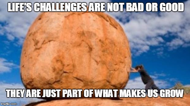 Struggle | LIFE'S CHALLENGES ARE NOT BAD OR GOOD; THEY ARE JUST PART OF WHAT MAKES US GROW | image tagged in struggle | made w/ Imgflip meme maker