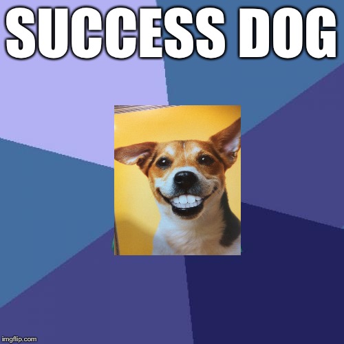 Success Kid Meme | SUCCESS DOG | image tagged in memes,success kid | made w/ Imgflip meme maker