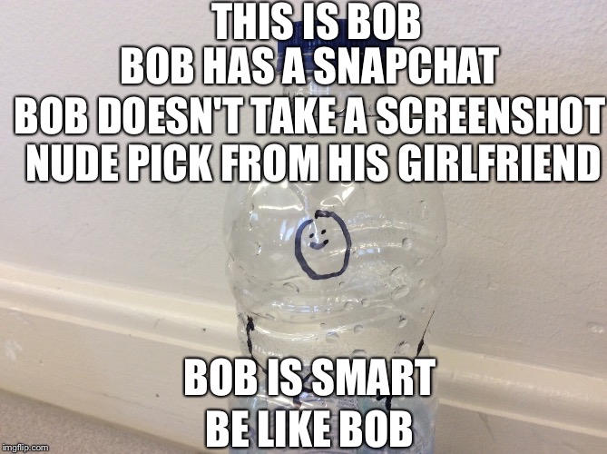 This is bob | THIS IS BOB; BOB HAS A SNAPCHAT; BOB DOESN'T TAKE A SCREENSHOT NUDE PICK FROM HIS GIRLFRIEND; BOB IS SMART; BE LIKE BOB | image tagged in bob | made w/ Imgflip meme maker