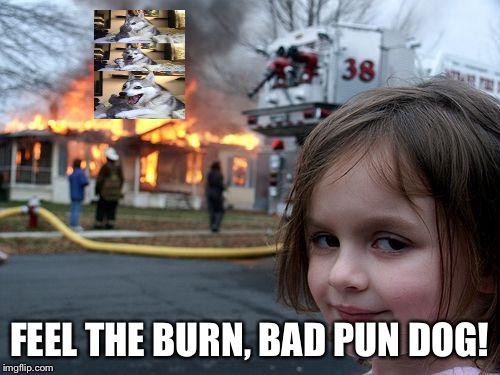 Disaster Girl Meme | FEEL THE BURN, BAD PUN DOG! | image tagged in memes,disaster girl | made w/ Imgflip meme maker