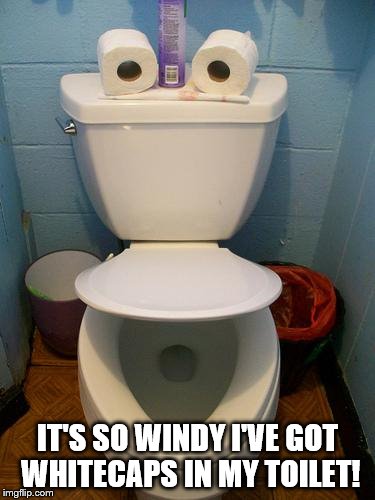 Im a toilet | IT'S SO WINDY I'VE GOT WHITECAPS IN MY TOILET! | image tagged in im a toilet | made w/ Imgflip meme maker