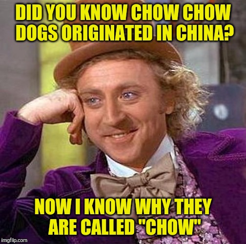 Creepy Condescending Wonka | DID YOU KNOW CHOW CHOW DOGS ORIGINATED IN CHINA? NOW I KNOW WHY THEY ARE CALLED "CHOW" | image tagged in memes,creepy condescending wonka | made w/ Imgflip meme maker