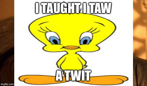 I TAUGHT I TAW A TWIT | made w/ Imgflip meme maker