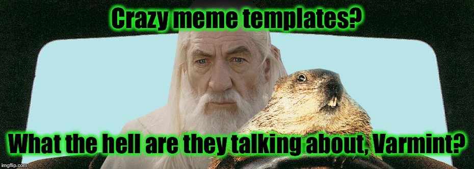 Gandalf Groundhog  | Crazy meme templates? What the hell are they talking about, Varmint? | image tagged in gandalf groundhog | made w/ Imgflip meme maker