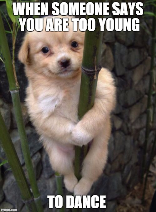 WHEN SOMEONE SAYS YOU ARE TOO YOUNG; TO DANCE | image tagged in dog on a bamboo stick,dog,stripper pole | made w/ Imgflip meme maker