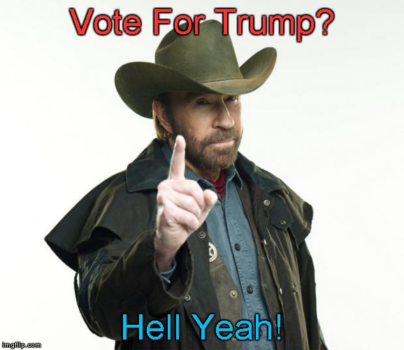 Vote For Trump? | Vote For Trump? Hell Yeah! | image tagged in chuck norris | made w/ Imgflip meme maker