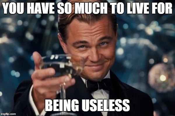 Leonardo Dicaprio Cheers Meme | YOU HAVE SO MUCH TO LIVE FOR BEING USELESS | image tagged in memes,leonardo dicaprio cheers | made w/ Imgflip meme maker
