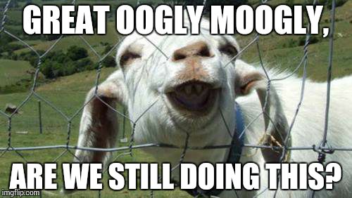 Goats. | GREAT OOGLY MOOGLY, ARE WE STILL DOING THIS? | image tagged in goats | made w/ Imgflip meme maker