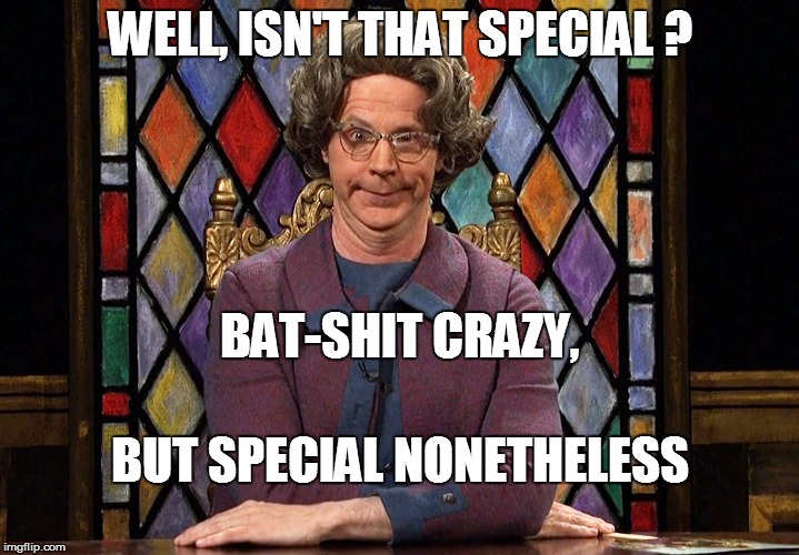 The Church Lady | WELL, ISN'T THAT SPECIAL ? BAT-SHIT CRAZY, BUT SPECIAL NONETHELESS | image tagged in the church lady | made w/ Imgflip meme maker