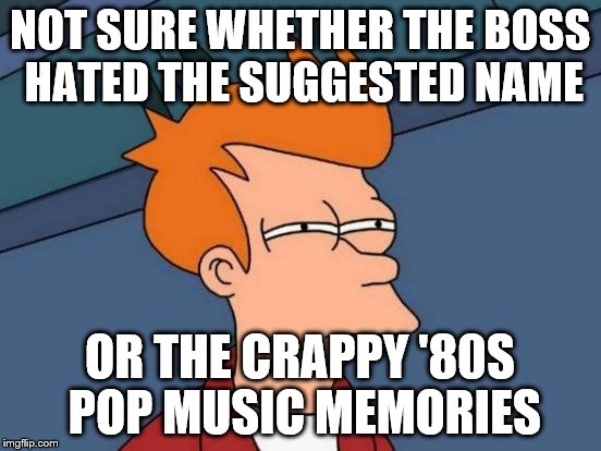 Futurama Fry Meme | NOT SURE WHETHER THE BOSS HATED THE SUGGESTED NAME OR THE CRAPPY '80S POP MUSIC MEMORIES | image tagged in memes,futurama fry | made w/ Imgflip meme maker