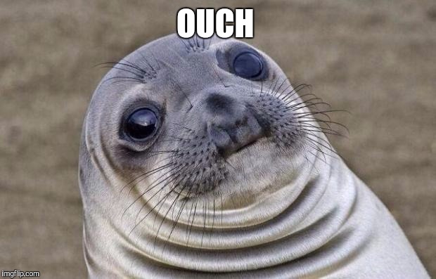 Awkward Moment Sealion Meme | OUCH | image tagged in memes,awkward moment sealion | made w/ Imgflip meme maker