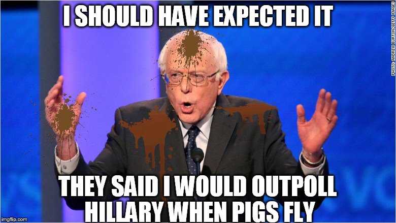 Birdie birdie in the sky... | I SHOULD HAVE EXPECTED IT; THEY SAID I WOULD OUTPOLL HILLARY WHEN PIGS FLY | image tagged in memes,funny,bernie sanders,bernie and hillary | made w/ Imgflip meme maker