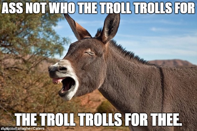 ASS NOT WHO THE TROLL TROLLS FOR; THE TROLL TROLLS FOR THEE. | image tagged in trolls | made w/ Imgflip meme maker