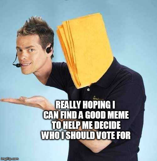 doug tulls | REALLY HOPING I CAN FIND A GOOD MEME TO HELP ME DECIDE WHO I SHOULD VOTE FOR | image tagged in political,shamwow | made w/ Imgflip meme maker