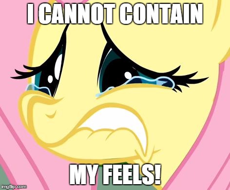 Fluttershy Cry | I CANNOT CONTAIN; MY FEELS! | image tagged in fluttershy cry | made w/ Imgflip meme maker