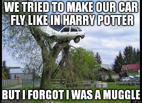 Secure Parking | WE TRIED TO MAKE OUR CAR FLY LIKE IN HARRY POTTER; BUT I FORGOT I WAS A MUGGLE | image tagged in memes,secure parking | made w/ Imgflip meme maker