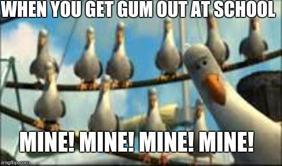 Pelicans want Gum | WHEN YOU GET GUM OUT AT SCHOOL; MINE! MINE! MINE! MINE! | image tagged in pelicans | made w/ Imgflip meme maker