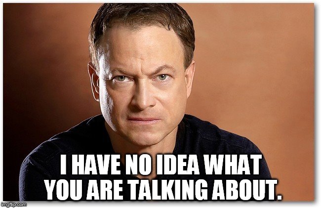 I Have No Idea What You Are Talking About. | I HAVE NO IDEA WHAT YOU ARE TALKING ABOUT. | image tagged in gary sinise,memes,celebrity,scowling | made w/ Imgflip meme maker