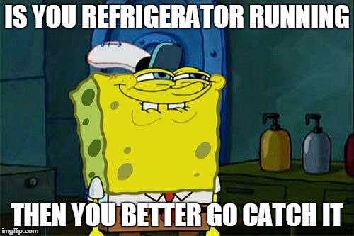 Don't You Squidward | IS YOU REFRIGERATOR RUNNING; THEN YOU BETTER GO CATCH IT | image tagged in memes,dont you squidward | made w/ Imgflip meme maker