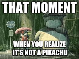 THAT MOMENT; WHEN YOU REALIZE IT'S NOT A PIKACHU | image tagged in funny,pokemon,identity | made w/ Imgflip meme maker